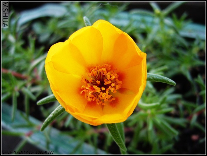 ̫���� ̫���� ��ɫ-2006.6.24����9��10_nEO_IMG.jpg