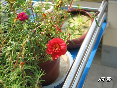 BigBull_ͼƬ 018.jpg