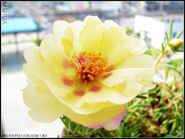 ̫���� ��ɫ �ӻ�����������_nEO_IMG.jpg