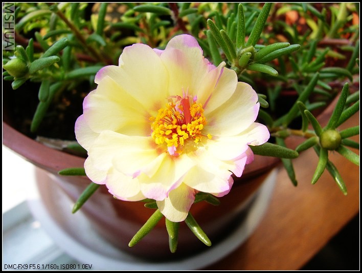 ̫���� ��ɫ_nEO_IMG.jpg