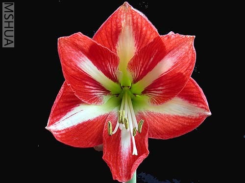 Hermitage(������ϣ �[ʿС��)1.jpg