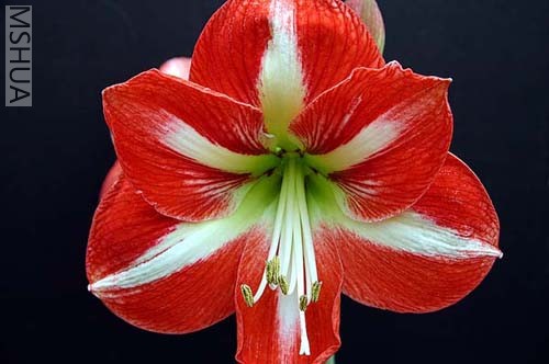 Hermitage(������ϣ �[ʿС��)2.jpg