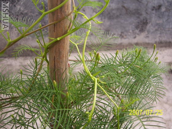 �õĻ���Ŷ��