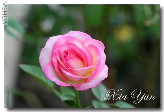 IMG_0476 ����.jpg