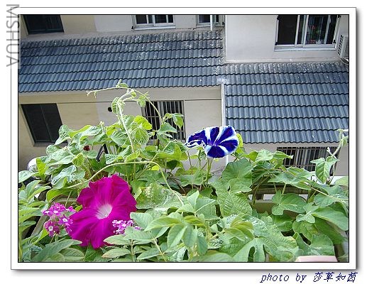 һ�������������û�ط����������Ը��������