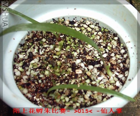 İ����ͼ (3).JPG