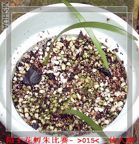 İ����ͼ (1).JPG