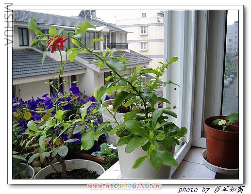 ��һͣ�֣����ҳ��ˣ������л���