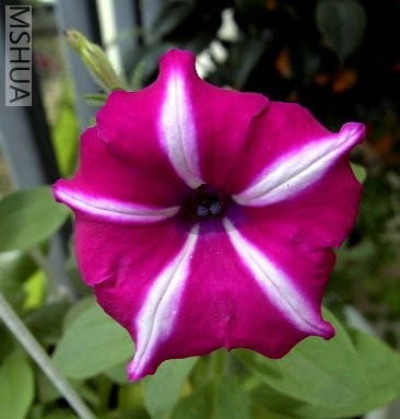 ����ͬһ��,��Խ��Խǳ.