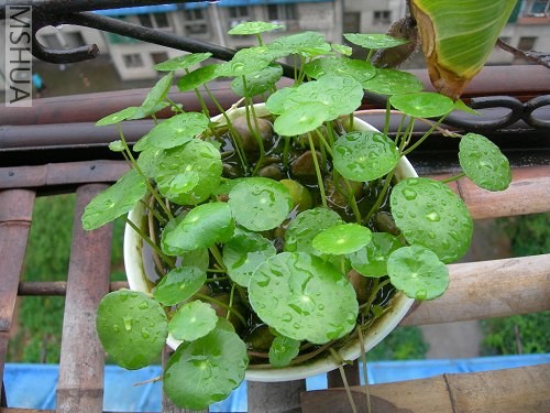 DSCN1847.jpg
