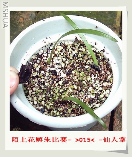 İ����ͼ (2).JPG