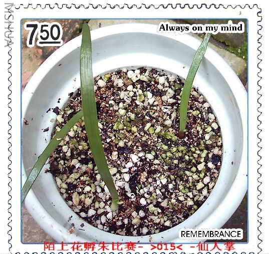 İ����ͼ (4).JPG