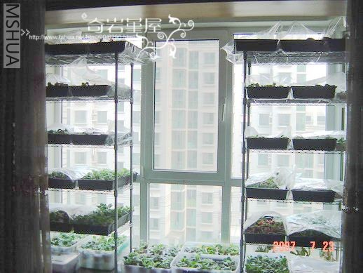 �����Ĵ�̨���ҵ�������