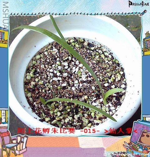 ����7.27 (1).JPG