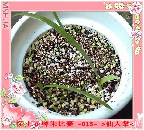 ����7.27 (2).JPG