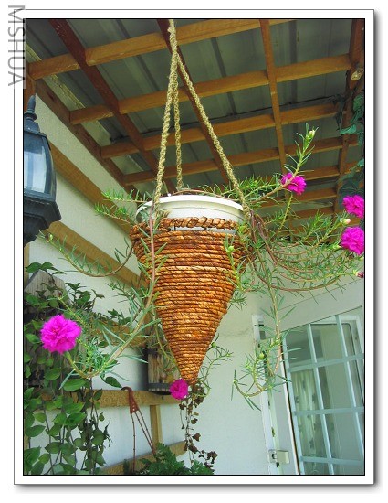 2007-5-28 065_nEO_IMG.jpg