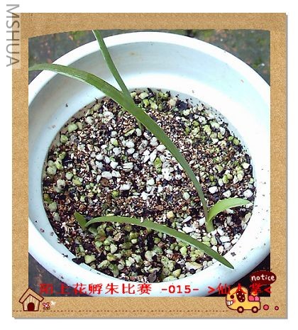 ����7.27 (3).JPG