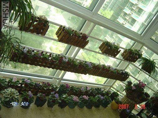 �����Ʈ��