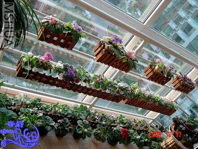 �����Ʈ��