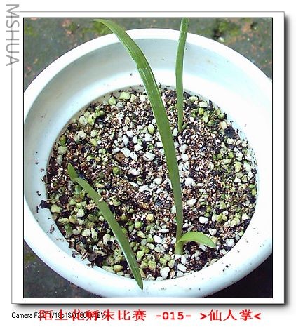 ����7.27 (4).JPG