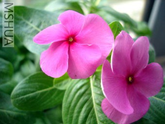 ��ϲ�������Ҳ���г���,Ҫ���б����ɫ�ͺ���