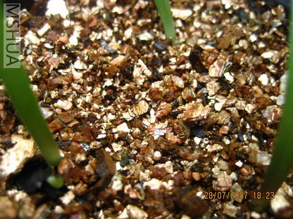 ��Ƭ 002_������С.jpg