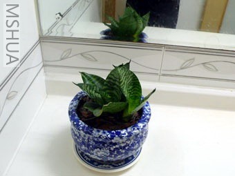 ϴ��̨��һ��,Ҳ����һ�谫�͵Ļ�β��