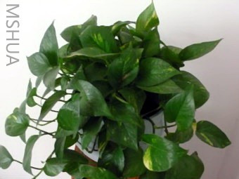 ���úܲ���������,��������������