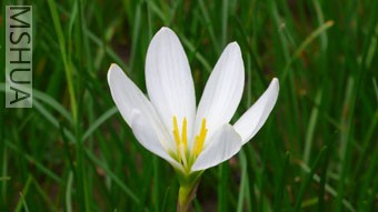 �ϸ���¥���ĵ�,��֪���Ǵ������Ǿ���,һ��Ƭ