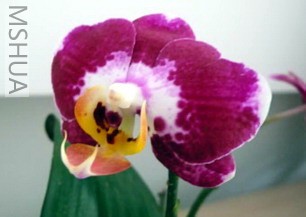 �����յĺ����Ͼ��ǲ�һ��