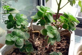 ������,����Ǻ���Ŷ,��������Ҳ��������