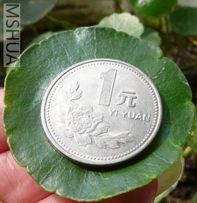 ��һԪ��Ӳ�ұȽ�