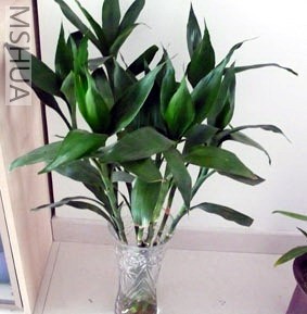 ���ˮ�฻������1�����,����