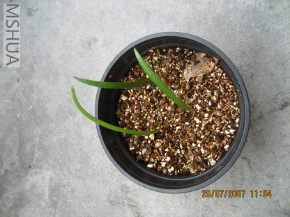 ��Ƭ 002_������С.jpg