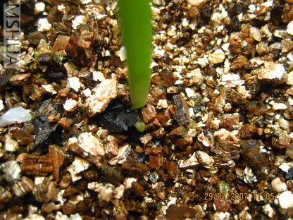 ��Ƭ 006_������С.jpg