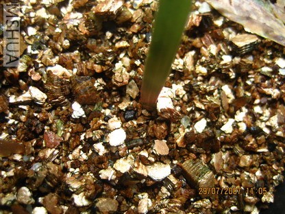 ��Ƭ 005_������С.jpg