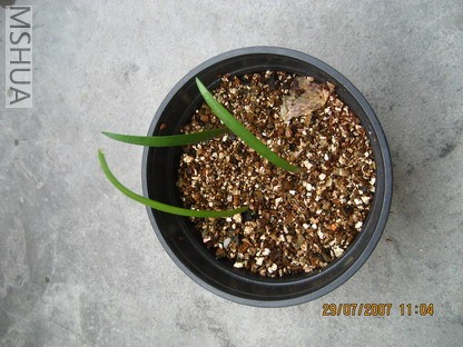 ��Ƭ 001_������С.jpg