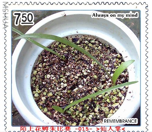 ����7.29 (2).JPG