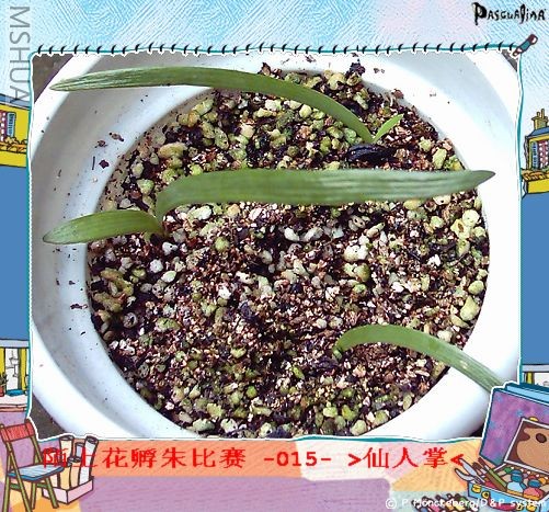 ����7.29 (1).JPG