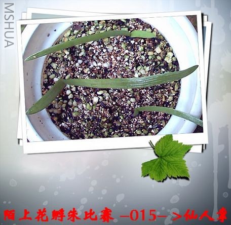 �����7.31 (3).JPG