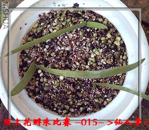 �����7.31 (2).JPG