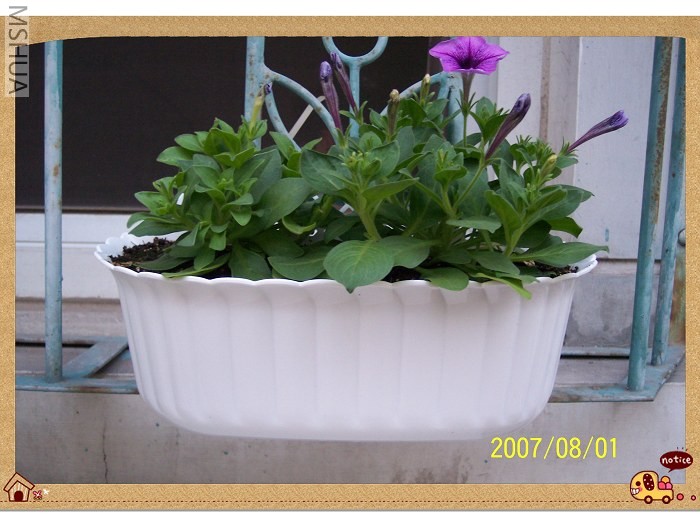 ������ȫ����