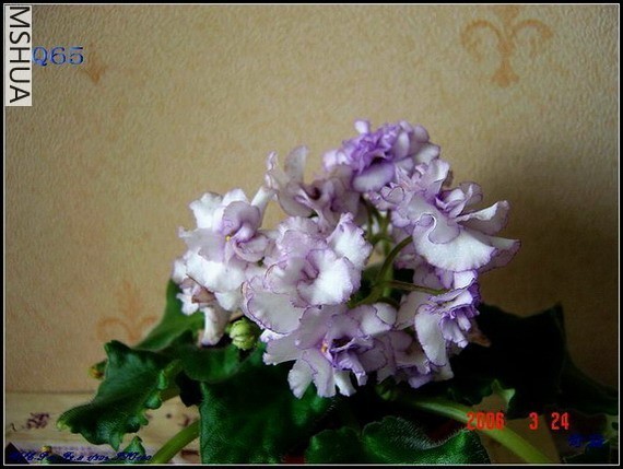 ��ϼ���������׻��ذ국����ϸ�߱�׼��.jpg