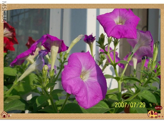 ǰ�����ĵð�ţ������Ҳ����һ��