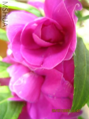 ��Ƭ 011_������С.jpg