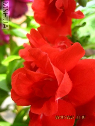 ��Ƭ 013_������С.jpg