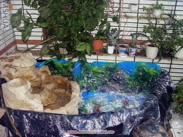 ���ϱ�������ֽ