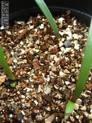 ��Ƭ 002_������С.jpg