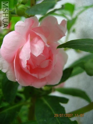 ��Ƭ 010_������С.jpg