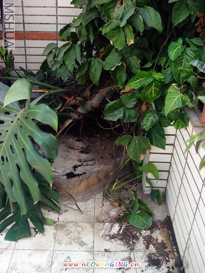 ������ĵط�